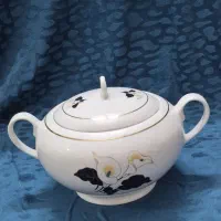 سوپ خوری زرین