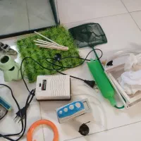 آکواریوم|ماهی|کرج, کلاک نو|دیوار