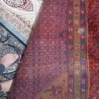 دوعددفرش دستبافت|فرش|رشت, حمیدیان|دیوار