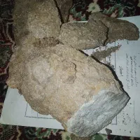 سنگ طلا