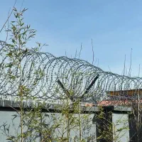 اجرا و نصب سیم خاردار شاخ گوزنی توری فنس|مصالح و تجهیزات ساختمان|کرج, کمال‌شهر|دیوار