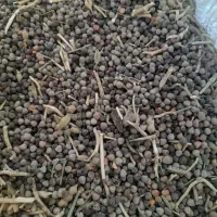 گاودانه|لوازم جانبی حیوانات|نهاوند, |دیوار