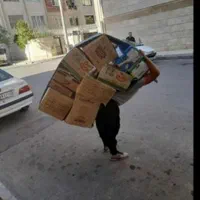 وانت بار|خدمات حمل و نقل|دهدشت, |دیوار