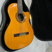 گیتار الکترو کلاسیک حرفه ای