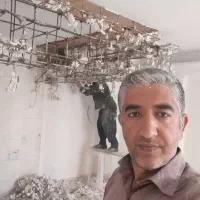 گچکاری گچ تخریب بنای دیوارگچی بازسازی تمام پایتخت