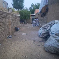 دامداری