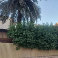 فروش