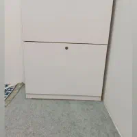جاکفشی