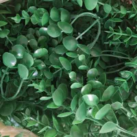 برگ مصنوعی شمشاد|گل مصنوعی|تنکابن, |دیوار