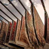 قالیشویی شبانه روزی|خدمات نظافت|بیرجند, |دیوار