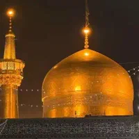 نظافتچی آقا قیمت مناسب