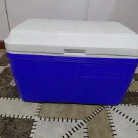 یخچال مسافرتی
