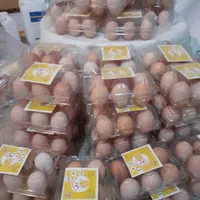 تخم مرغ محلی انزلی با زرده درشت و پرورش طبیعی|خوردنی و آشامیدنی|بندر انزلی, عباس آباد|دیوار