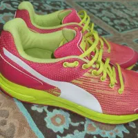 کتونی پوما puma|کیف، کفش، کمربند|تهران, شهرک دانشگاه|دیوار