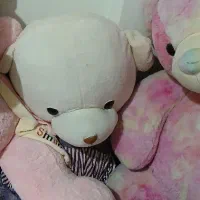 خرس بزرگ
