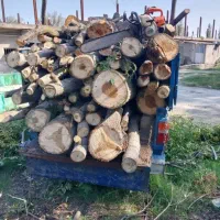 خریدار چوب هستیم ، با قیمتی خوب