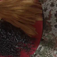 موبرای سالن|آرایشی، بهداشتی، درمانی|فردیس, سرحدی|دیوار