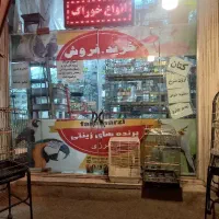 قفس وسایل دان پرندگان زینتی