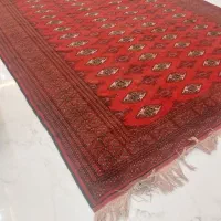 قالی دستباف ترکمن|فرش|مشهد, حجاب (شهرک غرب)|دیوار