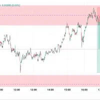 کسب درآمد از ترید با نت ملی آموزش از مبتدی تا حرفه