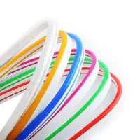 نئون next|ریسه و چراغ تزئینی|کرمان, |دیوار