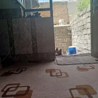 سگ کم شد