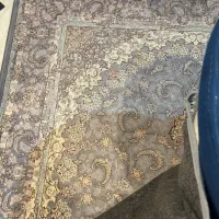 فرش ابریشم فرح|فرش|کرج, شاهینویلا|دیوار