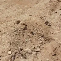 فروش چندقطعه زمین تفکیکی