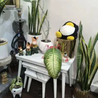 گیاهان سر حال|گل و گیاه طبیعی|شوش, |دیوار