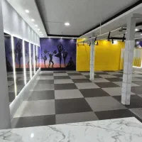 مربی رشته های هوازی و رزمی