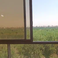 فول تک واحدی حاشیه تلاش مشاور زینلی