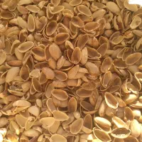 فروش پوست پسته