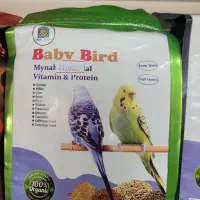 دان عروس هلندی،طوطی برزیلی،مرغ مینا،قناری،مرغ عشق|لوازم جانبی حیوانات|ارومیه, |دیوار