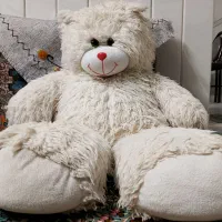خرس شاسخین (با تخفیف)
