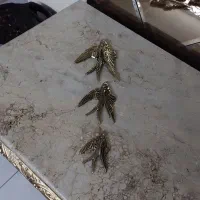 پرستوهای برنز