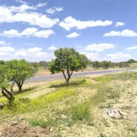 فروش چند قطعه زمین سند تک برگ