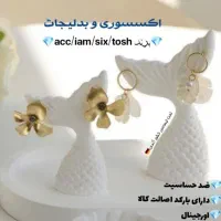 کادو ولنتاین ارزون اکسسوری ضدحساسیت برندخارجی