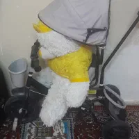 سه چرخه.|دوچرخه، اسکیت، اسکوتر|زالیان, |دیوار