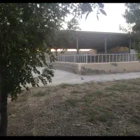 دامداری|اجارهٔ دفتر صنعتی، کشاورزی، تجاری|جوادآباد, |دیوار