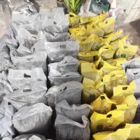 پخش خاک برگ جوان|گل و گیاه طبیعی|کرج, شهرک یاس شمالی|دیوار