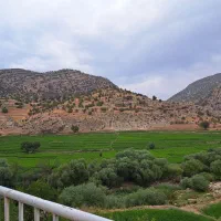 سوئیت و ویلا اجاره ای|اجارهٔ کوتاه‌مدت آپارتمان و سوئیت|منج, |دیوار