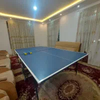 میز پینگ پنگ