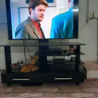 تلویزیون اسنوا ، نو میباشد|تلویزیون و پروژکتور|رشت, سعدی (تختی)|دیوار