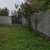 زمین داخل بافت روستای گل افرا بندر گز|فروش زمین و ملک کلنگی|بندر گز, |دیوار