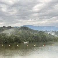 استخدام نیرو|استخدام بازاریابی و فروش|نور, |دیوار