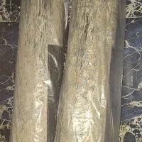 فرش ۶ متری کهنه نما|فرش|باغستان, |دیوار