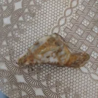 سنگ عقیق طلا دار