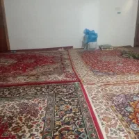 برنج هاشمی پارسال