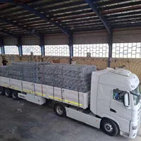 فنس-رابیتس-سیم شاخه