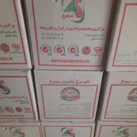 پخش تخم مرغ تکی و تعداد بالا